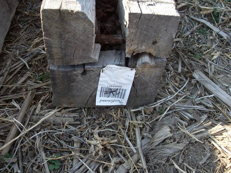 Hand Hewn Oak Timbers for Approval